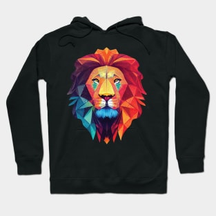 Rainbow Lion Hoodie